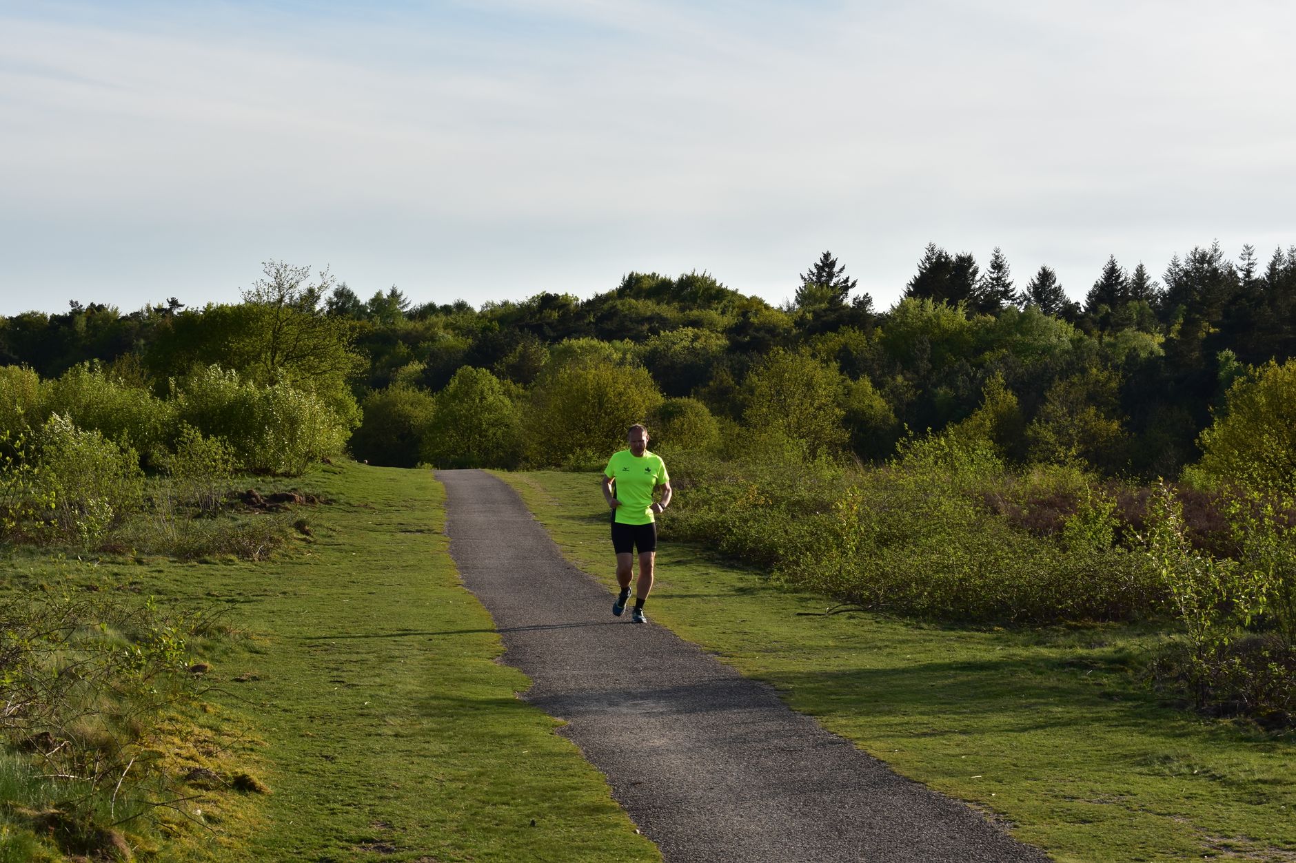 Man jogging on a pathway surrounded by lush greenery in a forest setting under a clear sky.
