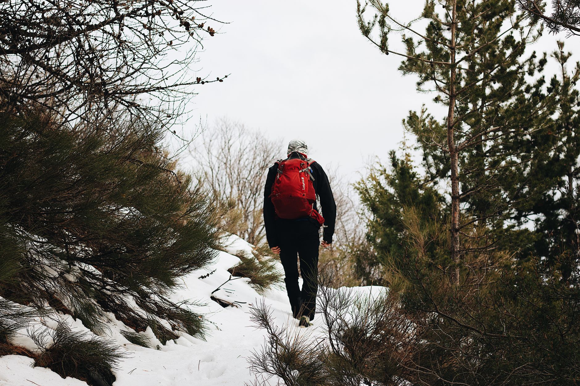 A lone hiker with a red backpack treks through a snowy forest trail in winter.